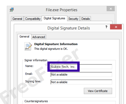 Screenshot of the Subeo Tech, Inc. certificate